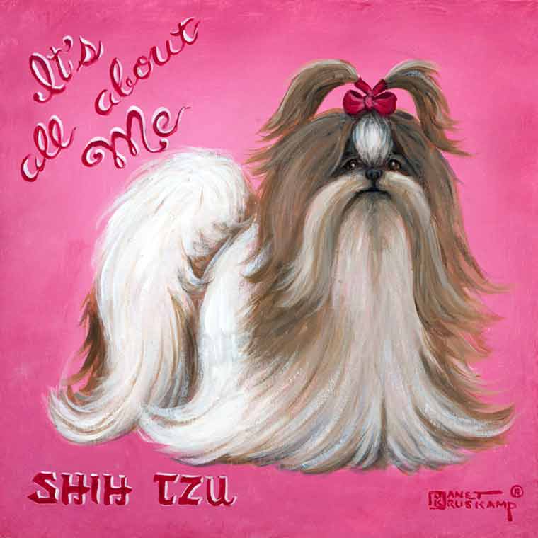 It's All About Me, a poster style painting from painter Janet Kruskamp. A bright pink background helps this long haired Shih Tzu stand out. White and dark brown with the hair on the top in a red bow, this dog is impeccably groomed and ready for it's closeup. Script words It's All About Me sit at an angle in the upper left corner of this square painting, and the words SHIT TZU sit on the lower left. Another original acrylic painting for sale, directly from the artist, Janet Kruskamp.