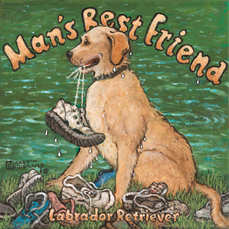 Man's Best Friend, a poster painting by Janet Kruskamp, presents a playful tan dog, fresh out of the water in the background, holding a tennis show by the laces in it's mouth. A pile of soggy shoes sits on the grass under the dog. The words Man's Best Friend curve over the dog's head at the top of the painting and the words Labrador Retriever rest on top of the shoes at the bottom of the painting. Lovers of the breed will love this new addition to Janet Kruskamp's original paintings, available directly from the artist.