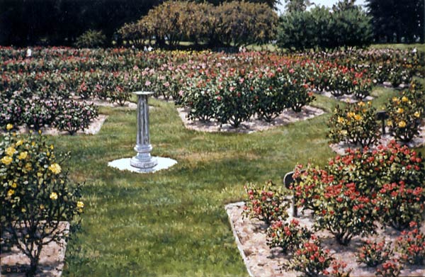San Jose Municipal Rose Garden by Janet Kruskamp 