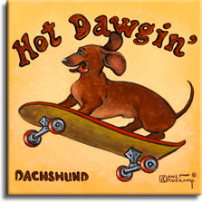 Hot Dawgin', a poster style painting of a dachshund by artist Janet Kruskamp. The dachshund is flying through the middle of the painting on a skateboard with red wheels. His tongue is out and his ears are flapping backwards . The words Hot Dawgin' are curved large over the top of the yellowish painting, and DACHSHUND is printed in the lower left. Lovers of the breed will love this new addition to Janet Kruskamp's original paintings, only available directly from the artist.