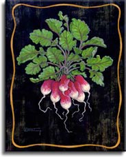 Burgundy and white made these radishes full of life. The darker background and gold border make the green leaves of the vegetable bouquet really stand out. This original paintings  is beautiful as an individual or as part of the set. Hand by Janet Kruskamp.